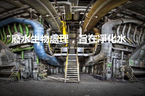 “廢水生物處理，旨在凈化水源，守護(hù)碧水藍(lán)天”